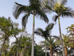 -宝安西湾红树林湿地公园