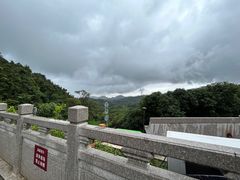 -深圳仙湖植物园