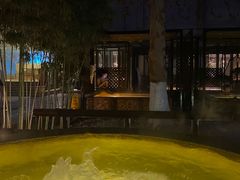 -春晖园度假酒店温泉