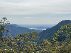 -大岭沟猕猴桃谷风景区