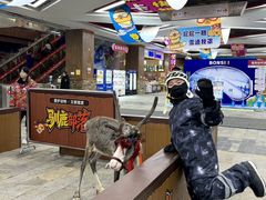 -哈尔滨热雪奇迹