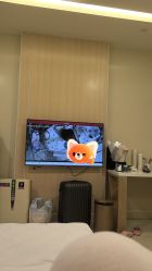 -广州安和泰医学月子会所