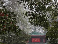 -岳麓山风景名胜区