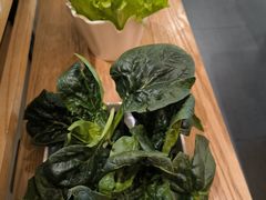 -左庭右院鲜牛肉火锅(桥北印象汇店)