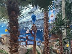 -青岛东方影都融创水世界