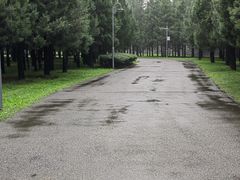 -东升八家郊野公园