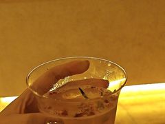 -Sirena海妖日咖夜酒