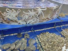 -天隆酒店·本地海鲜鲁菜(烟台大学店)