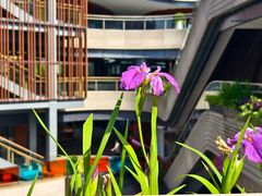 -乐翔轮滑(中庚漫游城店)