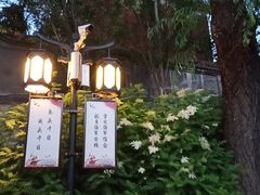 -文瀛公园