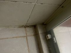 -三亚亚龙湾金棕榈度假酒店