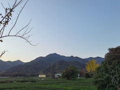 -听风阁农家私房菜茶楼(龙坞店)