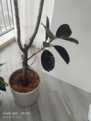 -HEYAN荷妍专业脱毛连锁机构