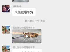 -芭比堂动物医院·24小时·眼科中心(深圳中心)