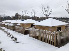 -上海崇明金茂凯悦酒店