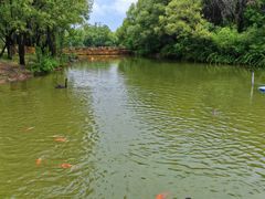 -泰安地下龙宫景区