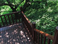 -七彩云南古滇温泉山庄