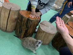 -藦茜花园宠物主题亲子互动体验馆(国顺东路店)