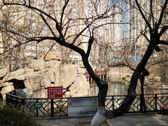 -贮水山儿童公园