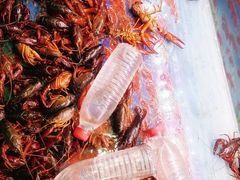 -小杨烤肉(朱雀店)