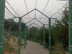 -东方巨龟苑景区