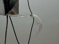 -大馆(前中区警署建築群)