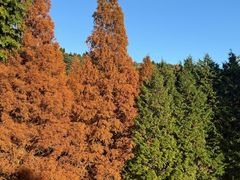 -神户市立六甲山牧场