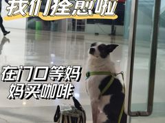 -萌兽医馆·犬猫专科·眼科中心·宠物医院(朝阳门分院)