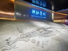景点-贵州省地质博物馆