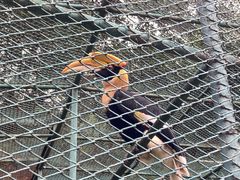 -哈尔滨北方森林动物园