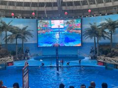 -海合安成都极地海洋公园