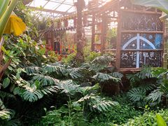 -呀路古热带植物园