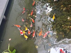 -绿房子方寸咖啡(星海名城店)