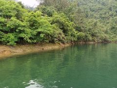 -鼎湖山风景区