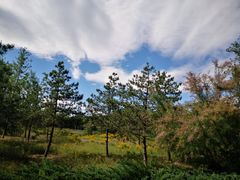 -北坞公园