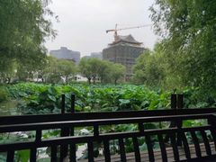 -长兴太湖图影湿地文化园