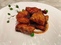 -蝶园·装修中(BFC外滩金融中心店)