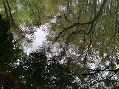 -郑和公园