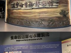 -辽宁古生物博物馆