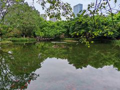 -望江楼公园