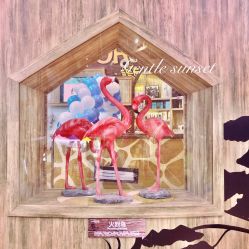 -卡通尼·Safari非洲探索乐园·生日会(金桥国际商业广场店)