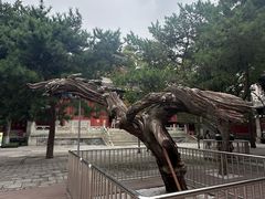 -大钟寺古钟博物馆