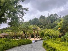 -腾冲洞山温泉村