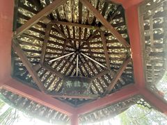 -窦圌山风景区