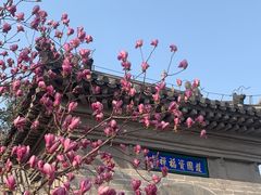-红螺寺