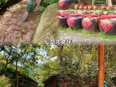 -姑婆山旅游区