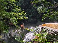 -牛背梁国家森林公园