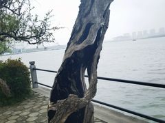 -无锡蠡湖国家湿地公园-蠡园
