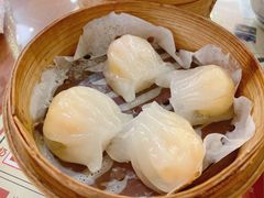 虾饺-捷信牛奶甜品世家(五道口店)