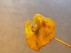 -乐彡炸串·烤苕皮(西单华威约饭街店)